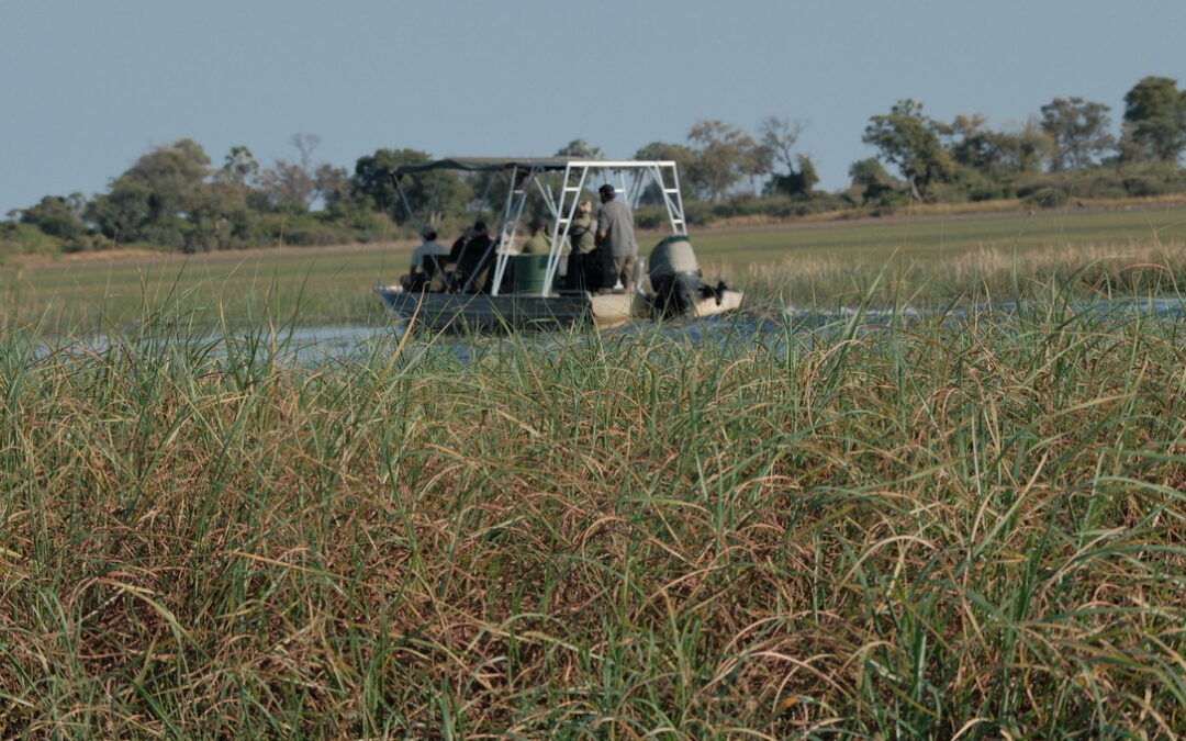 Botswana Day 7